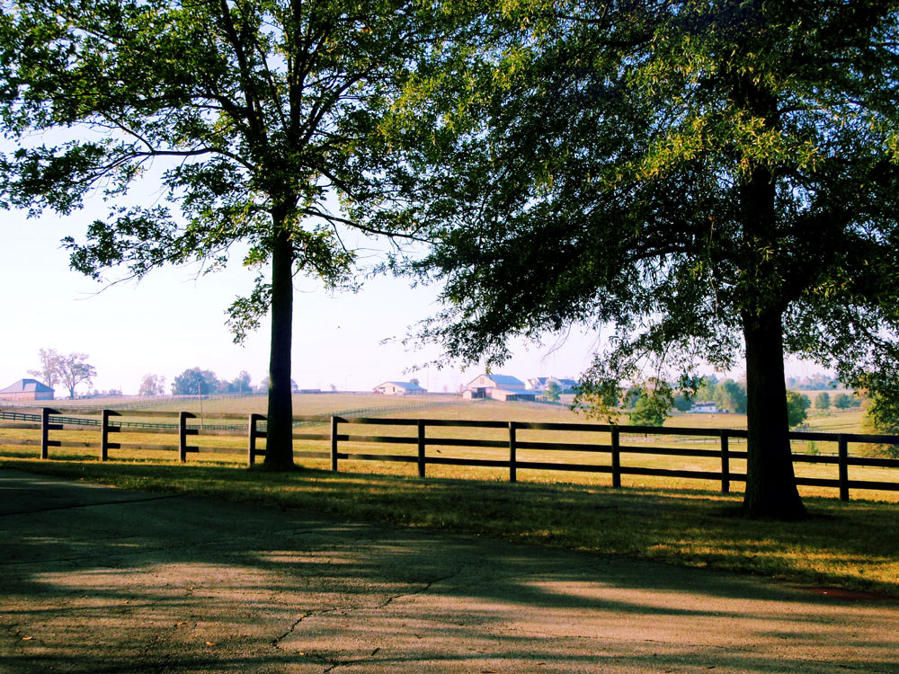 Photos Stonehaven SteadingsStonehaven Steadings