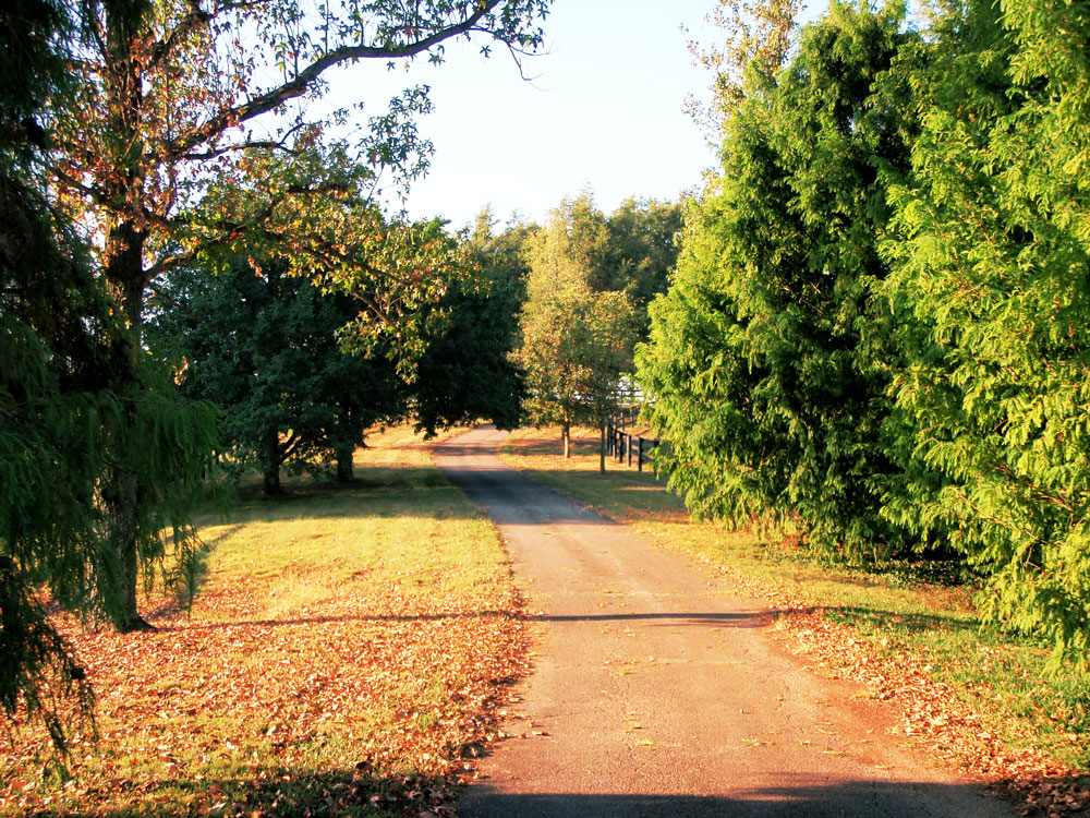 Photos Stonehaven SteadingsStonehaven Steadings