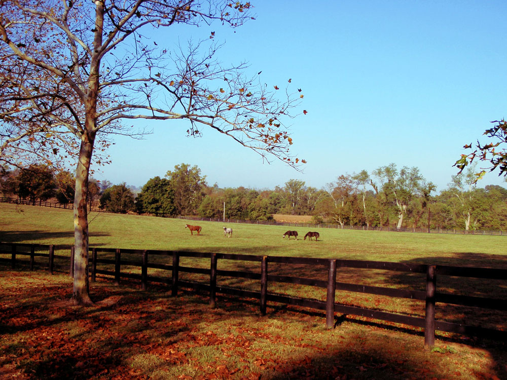 Photos Stonehaven SteadingsStonehaven Steadings
