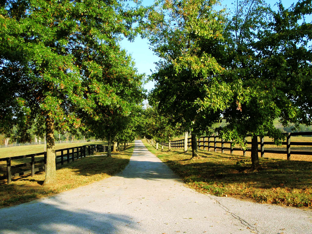 Photos Stonehaven SteadingsStonehaven Steadings