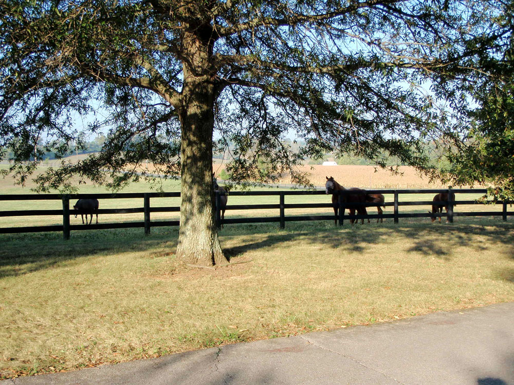 Photos Stonehaven SteadingsStonehaven Steadings