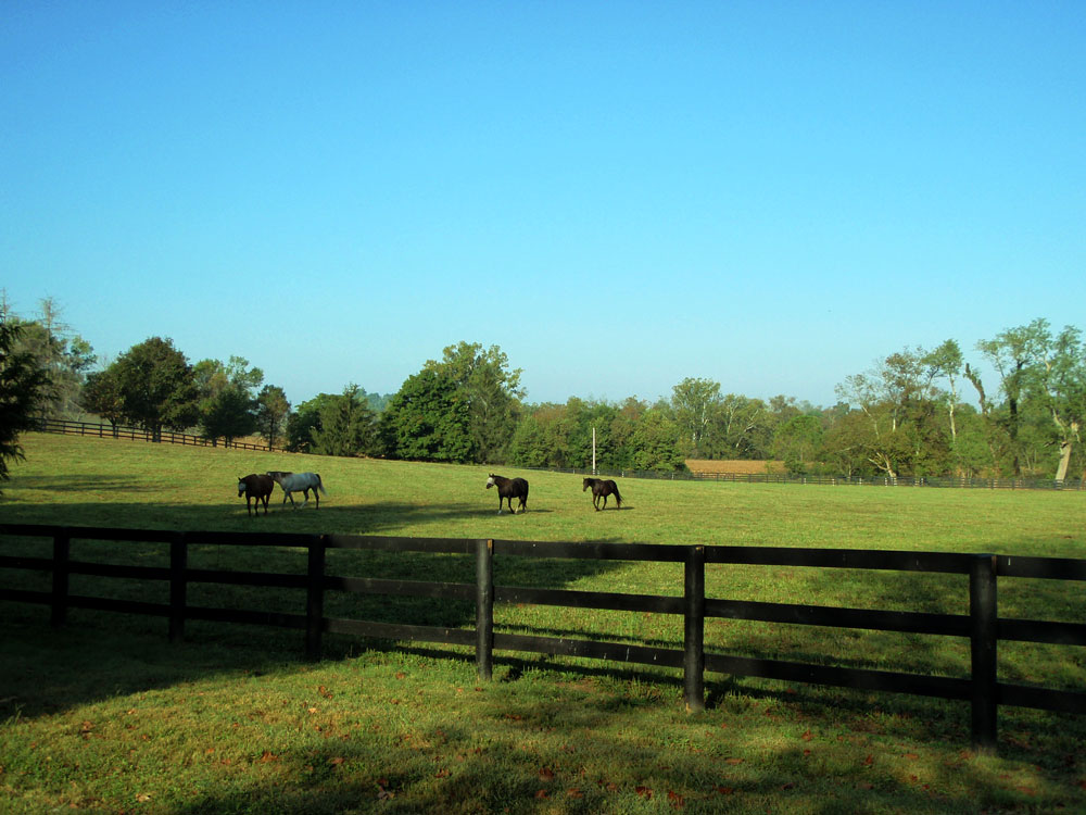 Photos Stonehaven SteadingsStonehaven Steadings