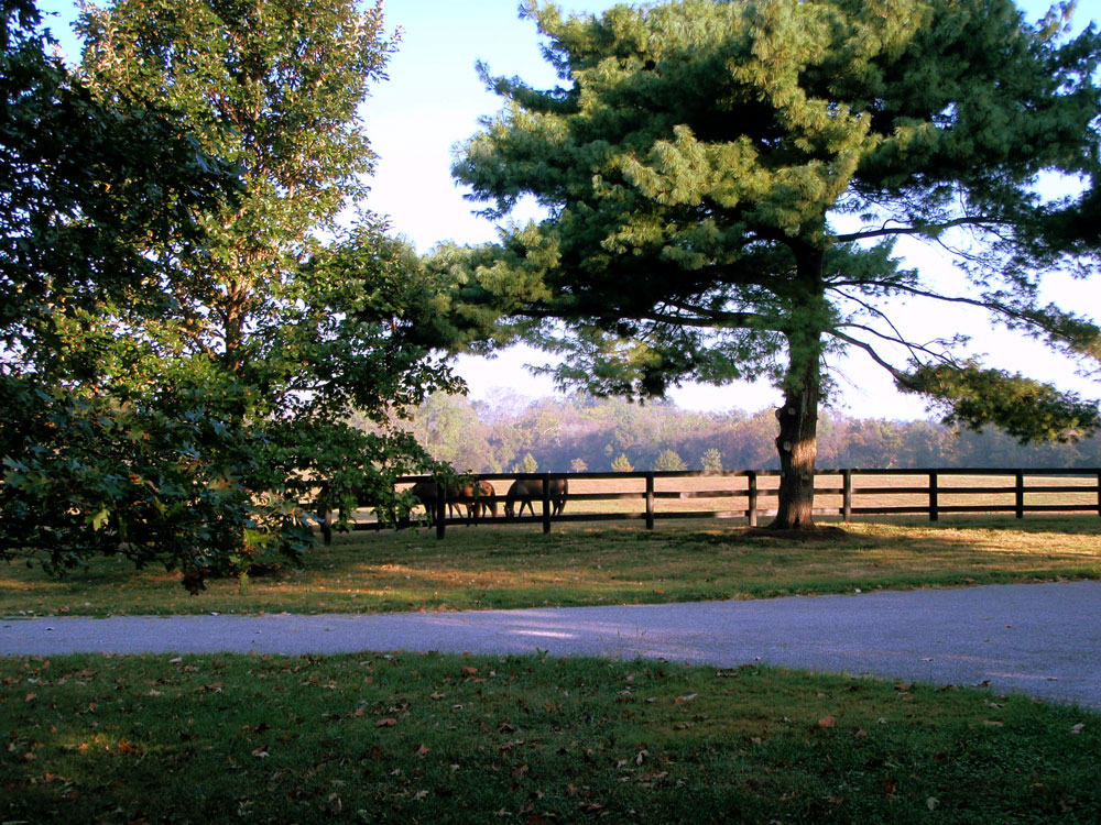 Photos Stonehaven SteadingsStonehaven Steadings
