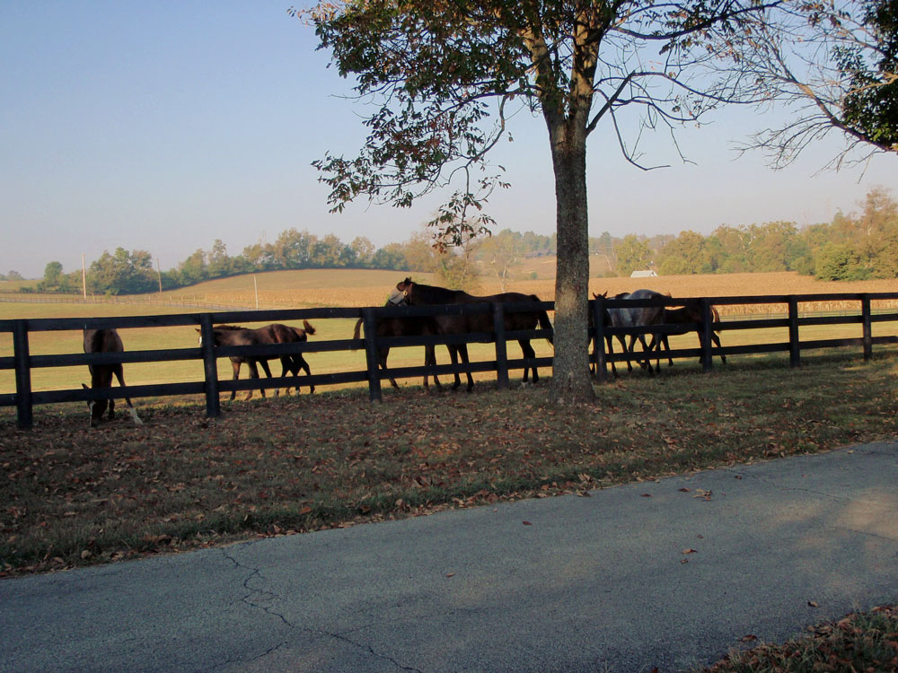 Photos Stonehaven SteadingsStonehaven Steadings
