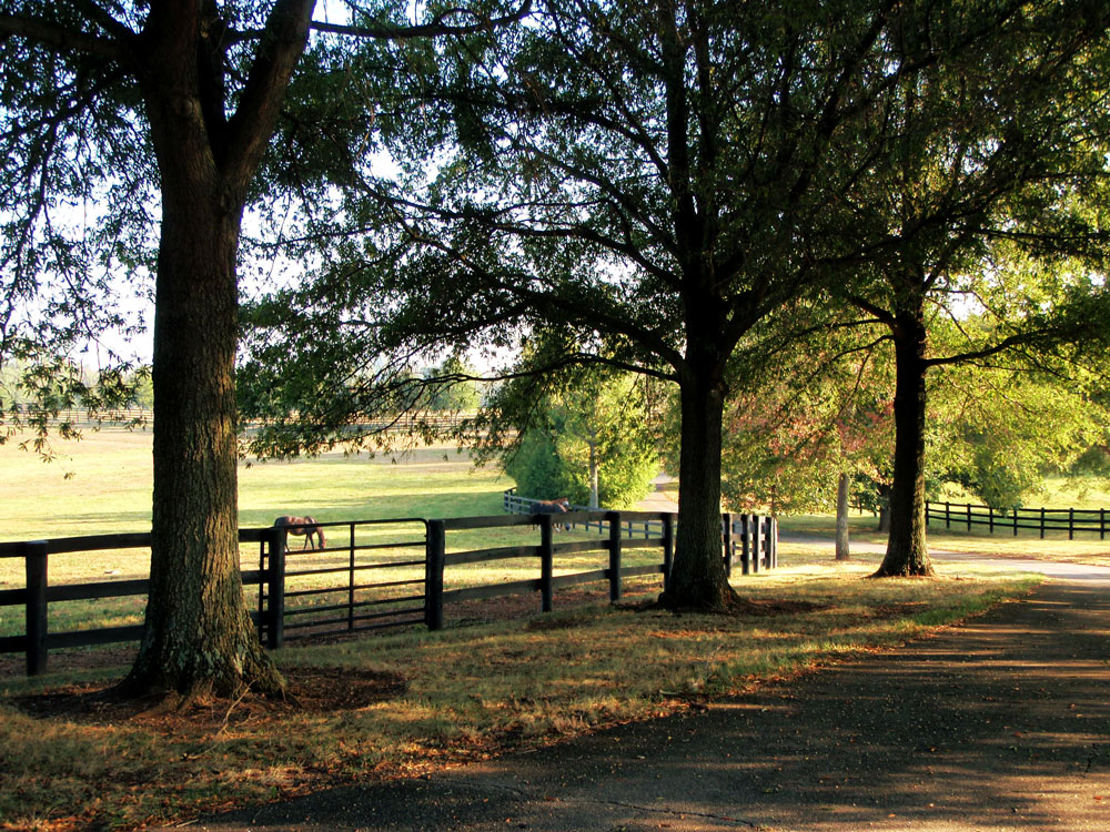 Photos Stonehaven SteadingsStonehaven Steadings
