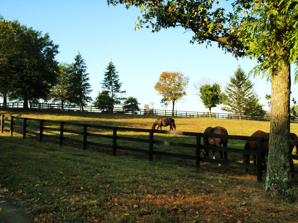 Photos Stonehaven SteadingsStonehaven Steadings