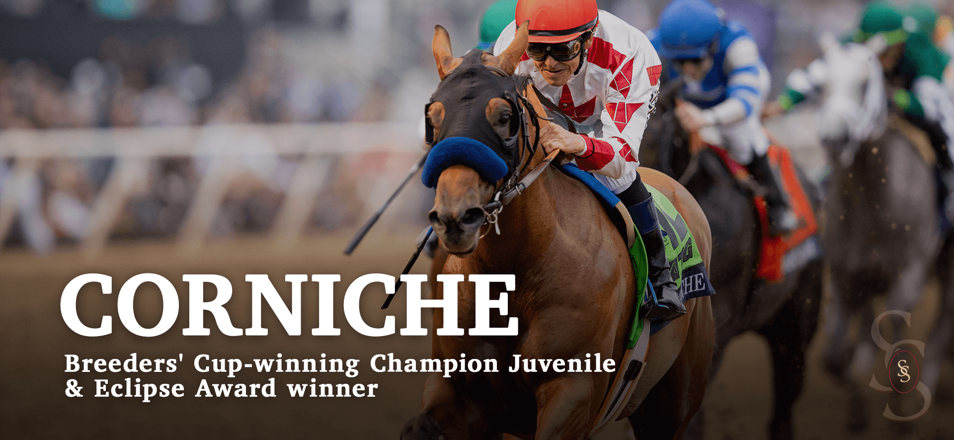 Corniche Breeders' Cup-winner Champion Juvenile & Eclipse Award Winner