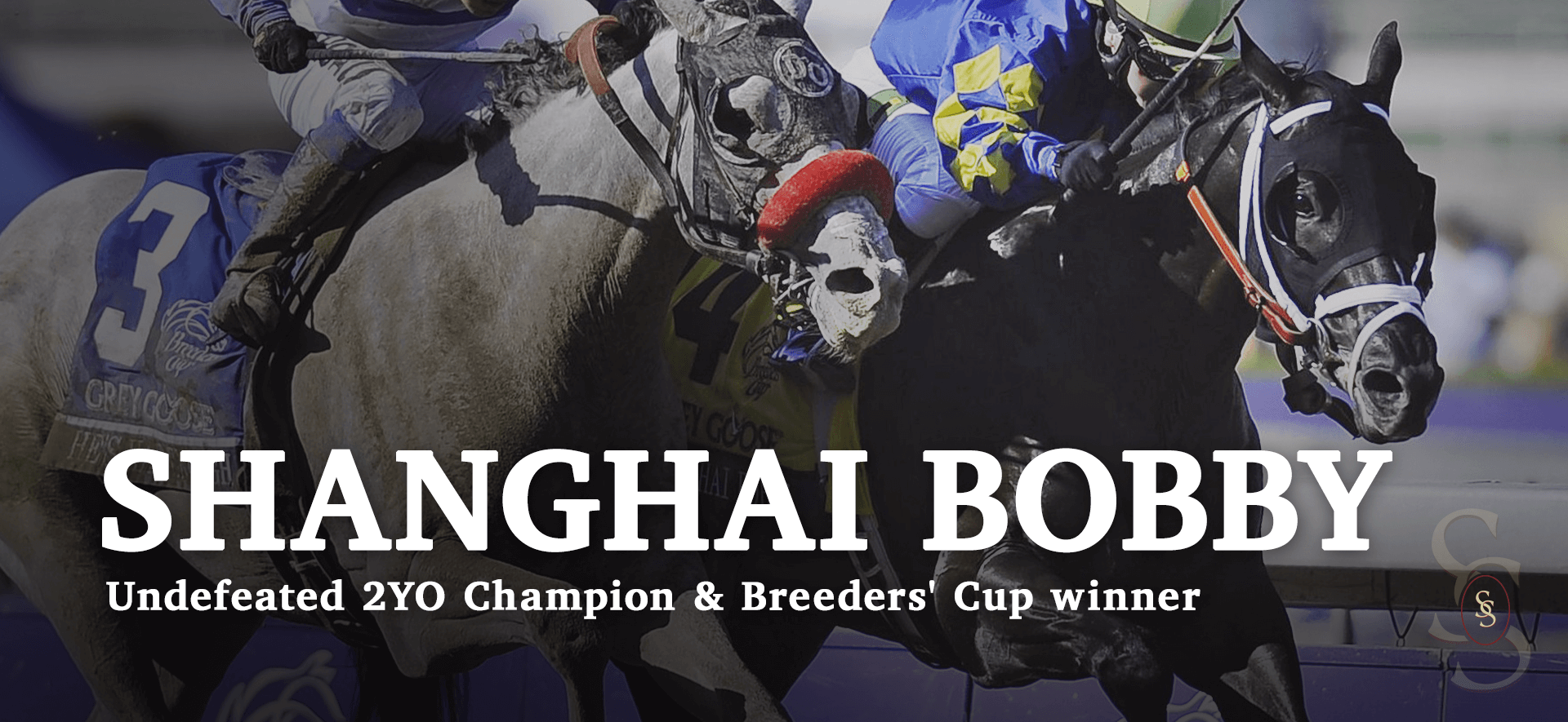 Shanghai Bobby Undefeated 2YO Champion & Breeders' Cup Winner